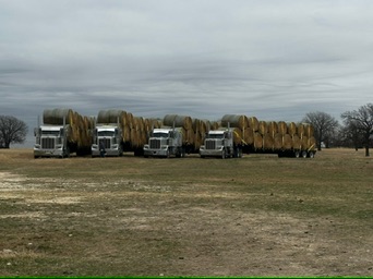 Trucks hauling timber across a rural field